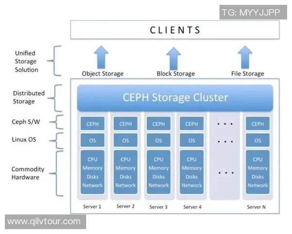 深入探讨上海排球队实力表现与数据分析的全面解读与未来展望